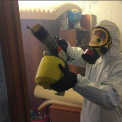Уничтожение клопов в квартире. Полярный
